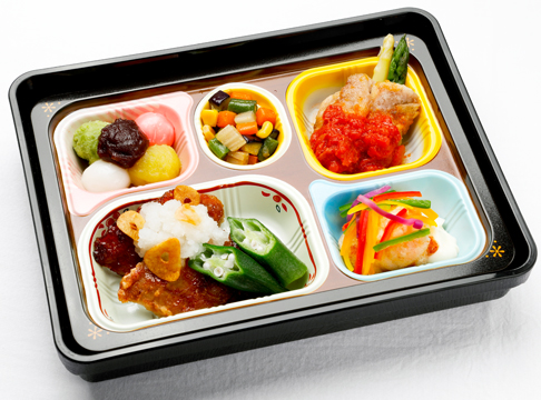 日清医療食品のキャプチャ画像